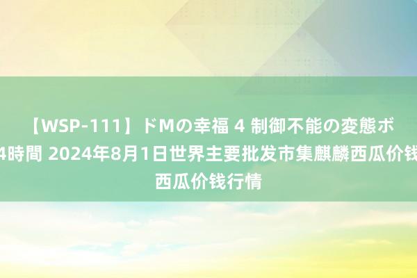 【WSP-111】ドMの幸福 4 制御不能の変態ボディ4時間 2024年8月1日世界主要批发市集麒麟西瓜价钱行情