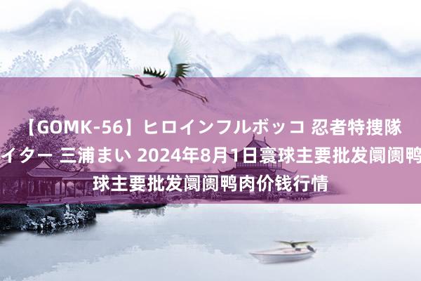 【GOMK-56】ヒロインフルボッコ 忍者特捜隊バードファイター 三浦まい 2024年8月1日寰球主要批发阛阓鸭肉价钱行情