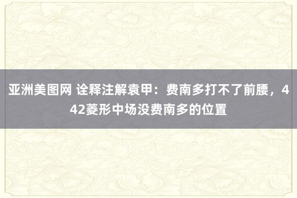 亚洲美图网 诠释注解袁甲：费南多打不了前腰，442菱形中场没费南多的位置