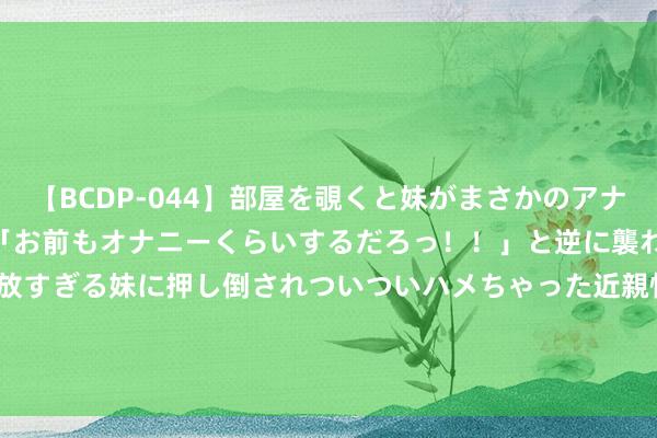 【BCDP-044】部屋を覗くと妹がまさかのアナルオナニー。問いただすと「お前もオナニーくらいするだろっ！！」と逆に襲われたボク…。性に奔放すぎる妹に押し倒されついついハメちゃった近親性交12編 零跑C11累计销售超16万辆 14.88万起售/标配高通8295芯片