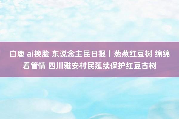 白鹿 ai换脸 东说念主民日报丨葱葱红豆树 绵绵看管情 四川雅安村民延续保护红豆古树