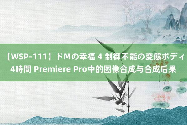 【WSP-111】ドMの幸福 4 制御不能の変態ボディ4時間 Premiere Pro中的图像合成与合成后果