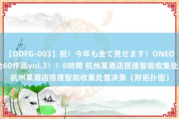 【ODFG-003】祝！今年も全て見せます！ONEDAFULL1年の軌跡全60作品vol.3！！8時間 杭州某酒店搭建智能收集处置决策（附拓扑图）