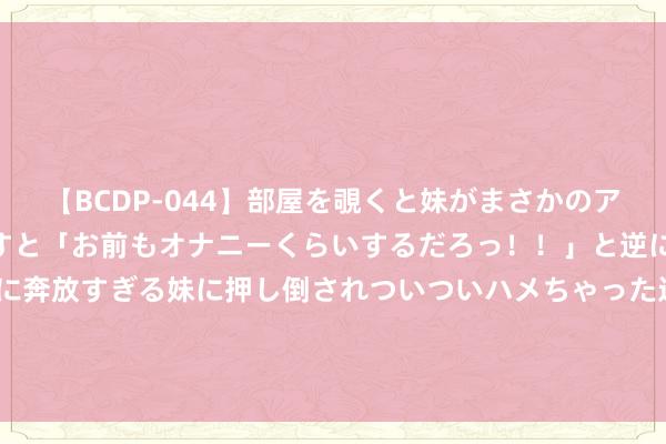 【BCDP-044】部屋を覗くと妹がまさかのアナルオナニー。問いただすと「お前もオナニーくらいするだろっ！！」と逆に襲われたボク…。性に奔放すぎる妹に押し倒されついついハメちゃった近親性交12編 “第一次去男友家，我收到2000红包，回家后我齐全了八年热枕”