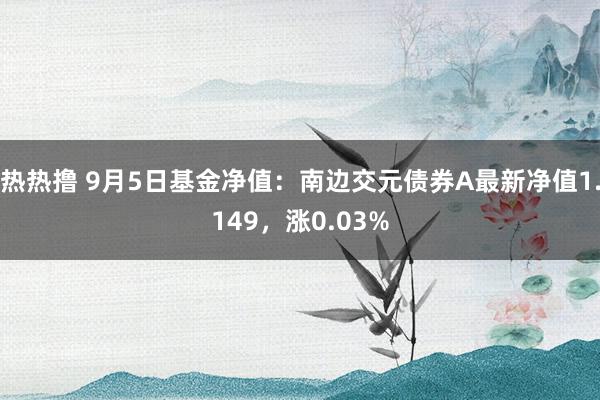 热热撸 9月5日基金净值：南边交元债券A最新净值1.149，涨0.03%