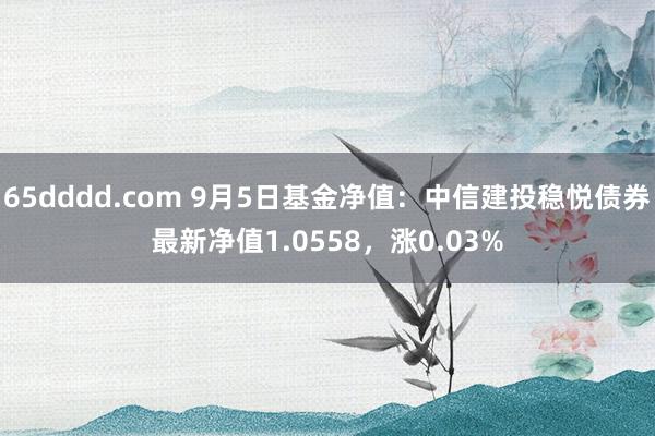 65dddd.com 9月5日基金净值：中信建投稳悦债券最新净值1.0558，涨0.03%