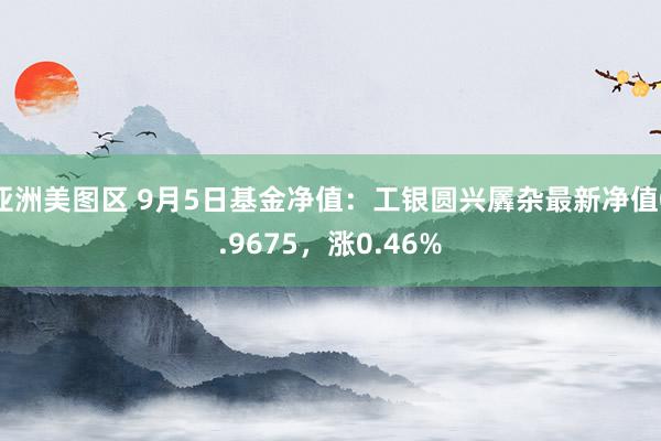 亚洲美图区 9月5日基金净值：工银圆兴羼杂最新净值0.9675，涨0.46%