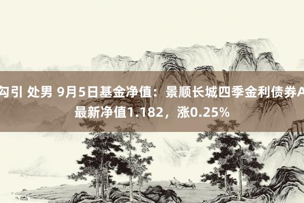 勾引 处男 9月5日基金净值：景顺长城四季金利债券A最新净值1.182，涨0.25%