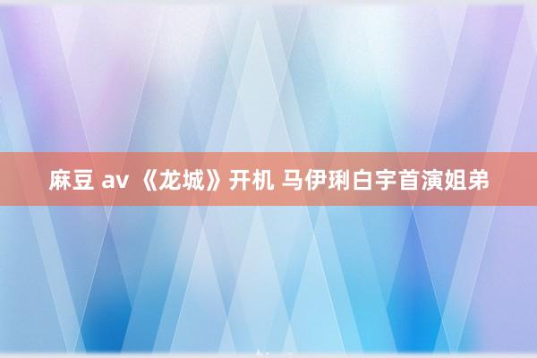 麻豆 av 《龙城》开机 马伊琍白宇首演姐弟