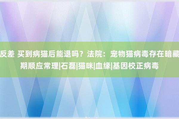 反差 买到病猫后能退吗？法院：宠物猫病毒存在暗藏期顺应常理|石磊|猫咪|血缘|基因校正病毒