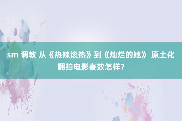 sm 调教 从《热辣滚热》到《灿烂的她》 原土化翻拍电影奏效怎样？